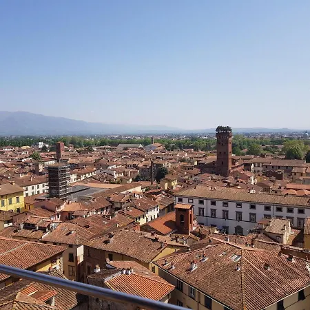 Wanda's Lucca