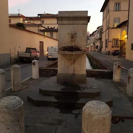 Wanda's Lucca