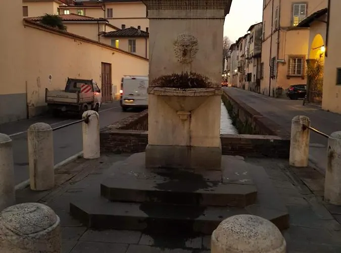 Wanda's Lucca